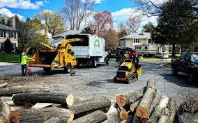 Reliable Spinnerstown, PA Tree Removal and Landscaping Services Solutions